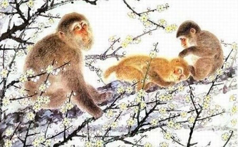 Người tuổi Nhâm Thân 1992 hợp và kỵ tuổi nào