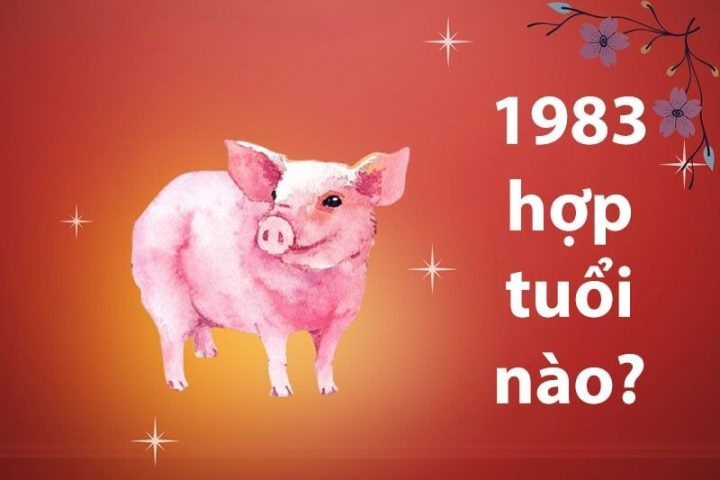Người tuổi Quý Hợi 1983 thuộc cung mệnh Thủy