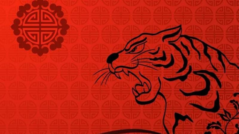 Nhâm Dần sinh năm 2022 hợp màu gì?
