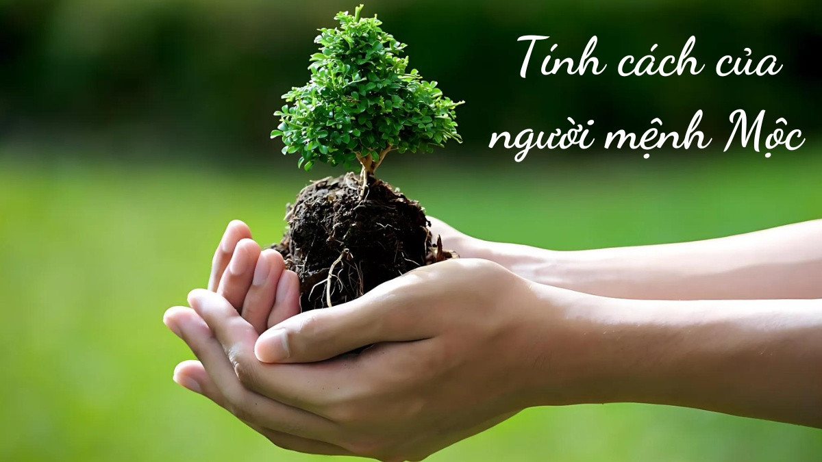 Những ưu nhược điểm trong tính cách người mệnh Mộc