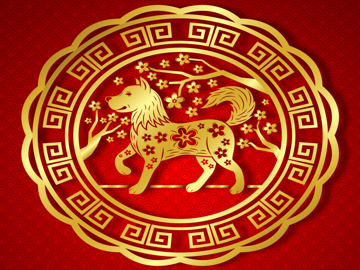 sinh 1958 mệnh gì