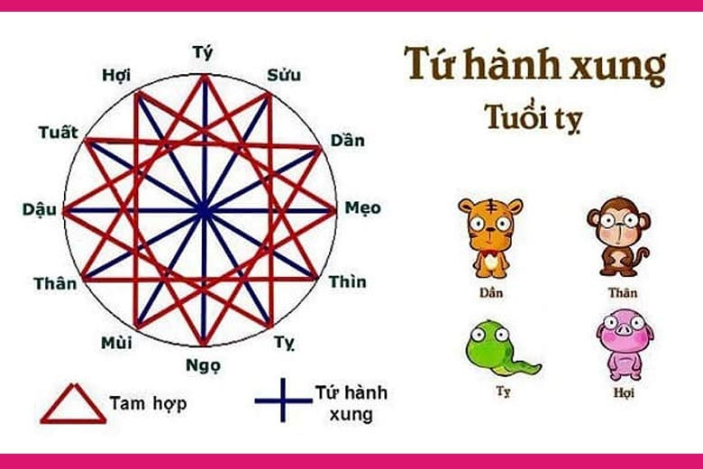 Sinh năm Ất Tỵ 2025 hợp với những tuổi nào
