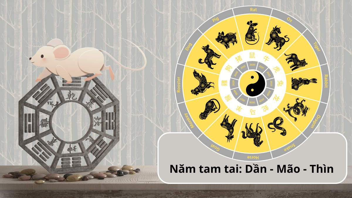 Tính tam tai tuổi Tý mệnh gì 1984