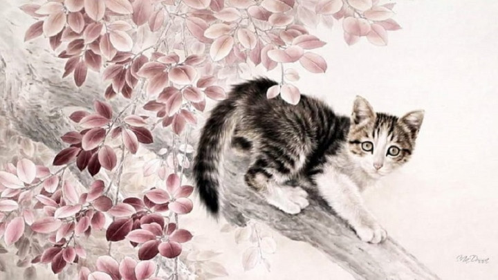 Tổng quan về tuổi Quý Mão mệnh gì và con giáp Mèo trong lịch âm