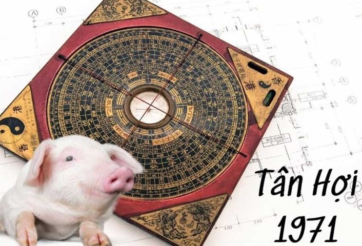 Tử vi trọn đời tuổi Tân Hợi 1971 nữ mạng: Vận mệnh, tài lộc, tình duyên & phong thủy chuẩn nhất