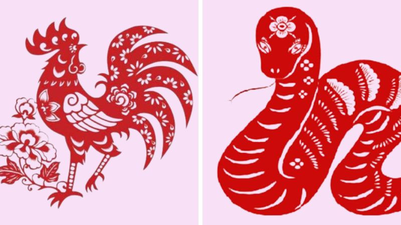 Tuổi Ất Sửu 1985 sẽ hợp với Tỵ và Dậu trong các mối quan hệ, mang lại sự hòa hợp và may mắn.