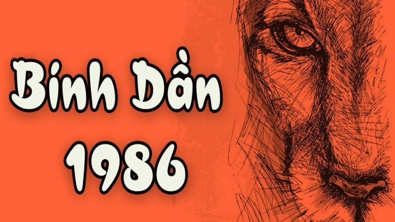 Tuổi Bính Dần 1986 hợp với những tuổi nào trong tình duyên và làm ăn