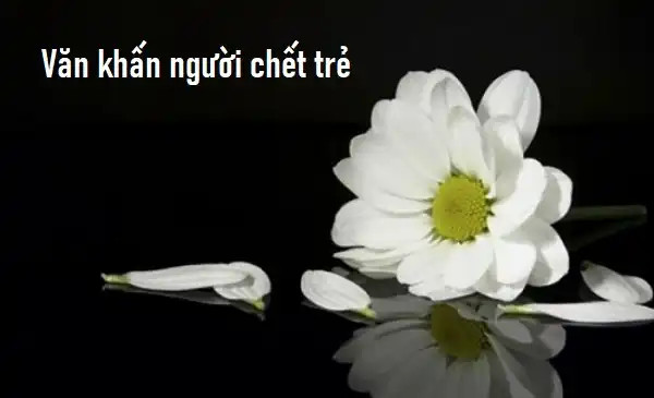 Ý nghĩa của việc cúng giỗ người chết trẻ