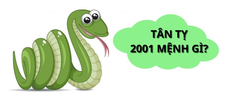 Ý nghĩa nạp âm Bạch Lạp Kim của tuổi Tân Tỵ 2001
