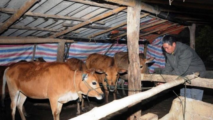 Ý nghĩa sâu sắc của nghi lễ cúng ông Chuồng bà Chuồng