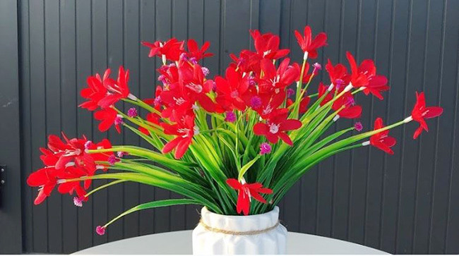 Bông thủy tiên đỏ cúng Ông Địa Thần Tài mang lại sự may mắn cho gia chủ
