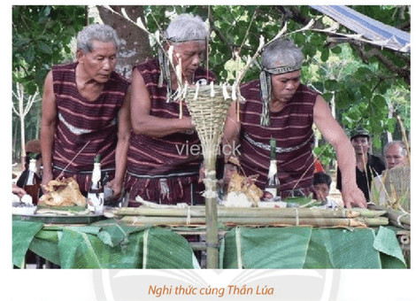 Cây nêu truyền thống trong lễ cúng thần lúa của người Chơ Ro, biểu tượng cho hồn lúa và mùa màng