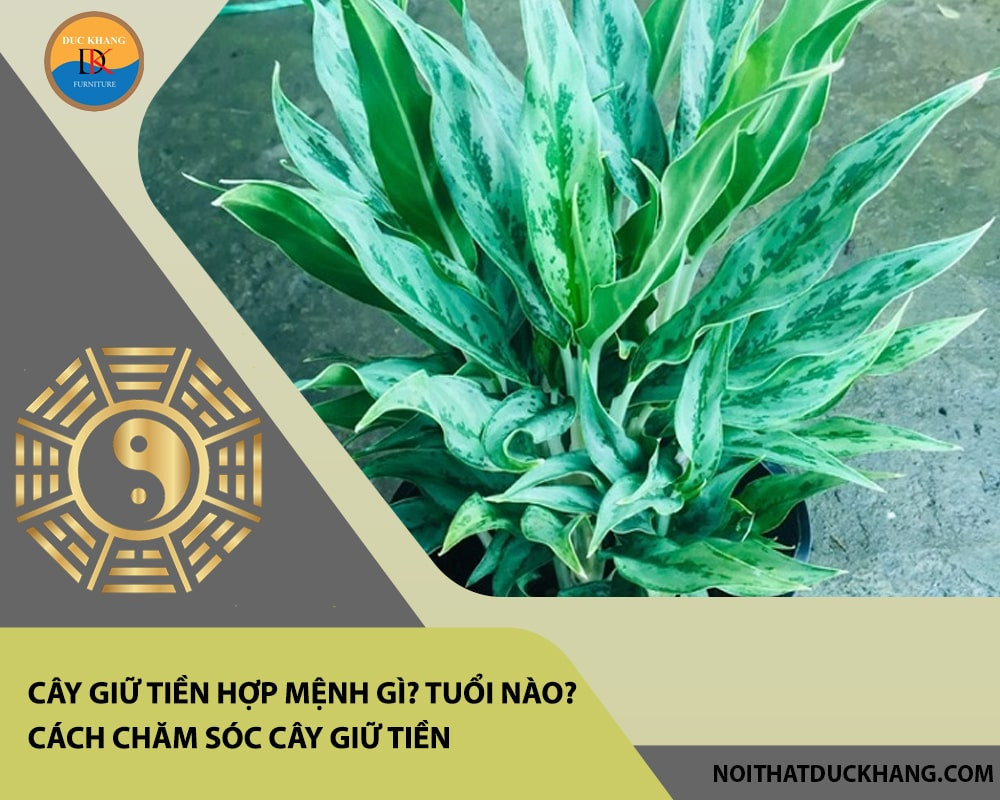 Chậu cây giữ tiền nhỏ đặt trên bàn gỗ sáng màu