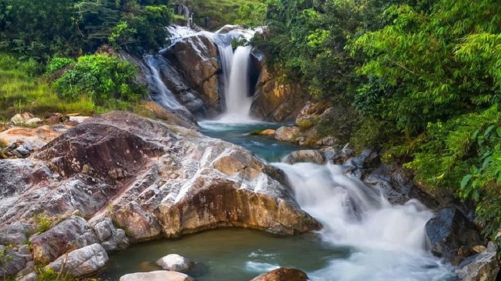 Hình ảnh biểu tượng cho mệnh Tuyển Trung Thủy của tuổi Ất Dậu 2005