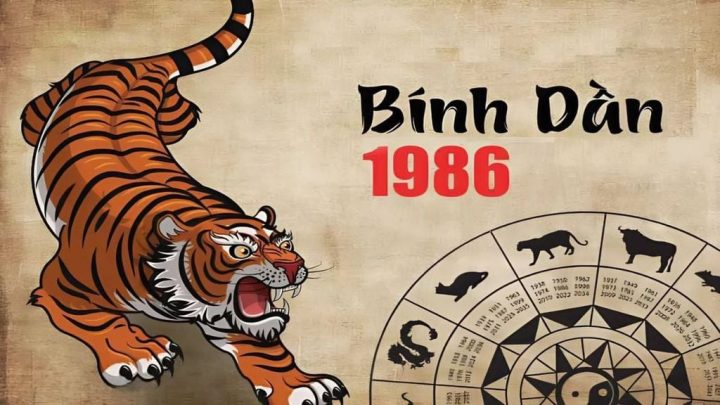 Hình ảnh ngọn lửa mạnh mẽ tượng trưng cho người sinh năm 1986 là mệnh gì