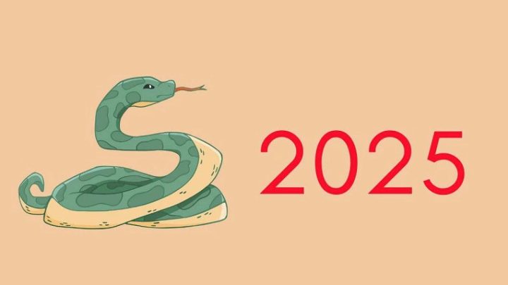Hình ảnh người sinh năm 2025 tuổi Ất Tỵ