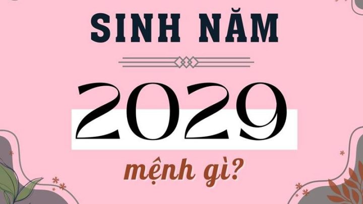 Hình ảnh tượng trưng cho người sinh năm 2029 mệnh gì