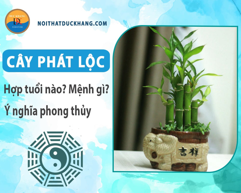 Hoa cây phát lộc trắng tinh khiết, báo hiệu điềm lành và may mắn