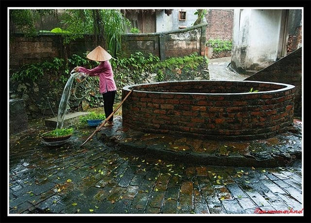 Mâm lễ vật cúng tạ giếng trang trọng với hoa quả, xôi chè