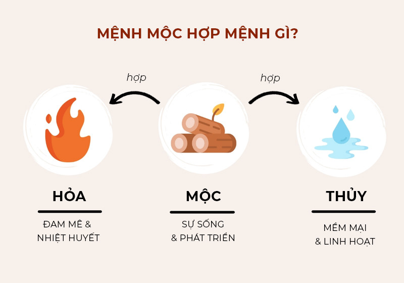 Mệnh Mộc hợp với mệnh Thủy và mệnh Hỏa để tăng cường may mắn