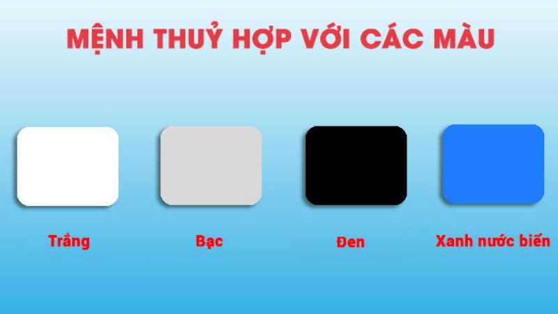 Nam Nhâm Tuất 1982 hợp màu trắng, bạc, xanh biển, đen