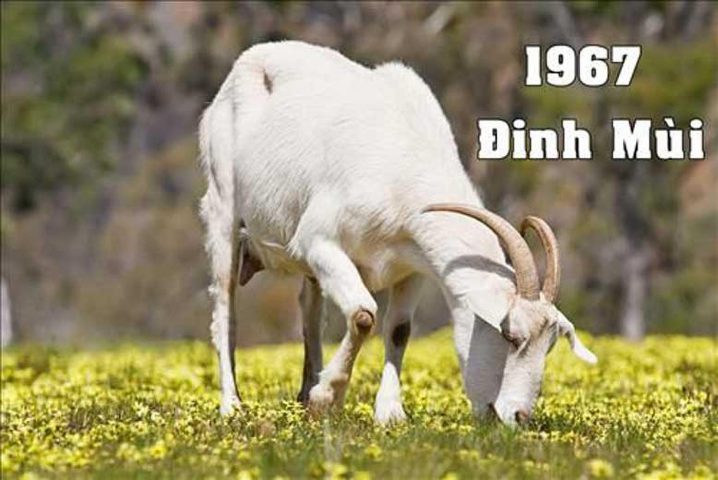 Nam sinh 1967 mệnh gì: Bản đồ ngũ hành tương sinh tương khắc