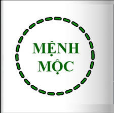Người mệnh Mộc đang chăm sóc cây Trúc Nhật trong nhà