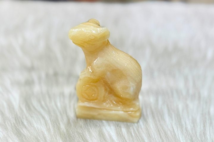 Người sinh năm 1948 là mệnh gì và thuộc tuổi con giáp nào