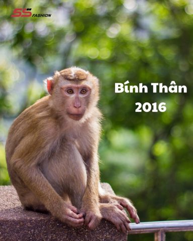 Tổng quan về tuổi Bính Thân 2016
