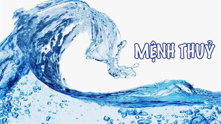 Tuổi Mùi năm 2027 mệnh gì