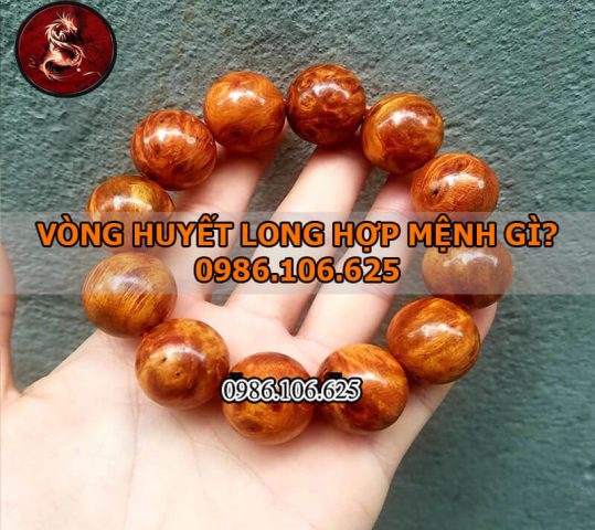 Vòng tay gỗ huyết long hợp mệnh gì