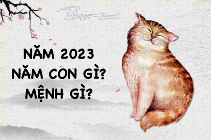 Xác định mệnh và cung của bé sinh năm 2023