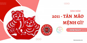 ý nghĩa 2011 mệnh gì nữ
