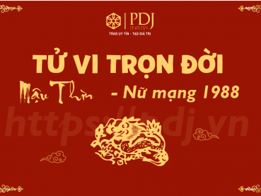 Vận mệnh nữ 1988 hậu vận