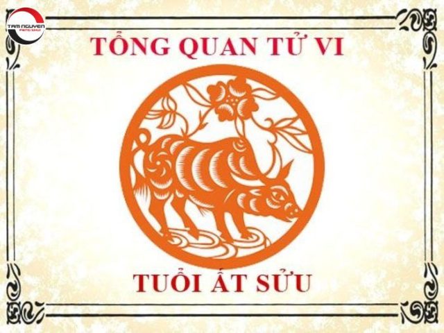 Tử Vi Năm 2021 Nữ Mạng Chi Tiết – Luận Giải Vận Mệnh, Sao Hạn & Cách Hóa Giải