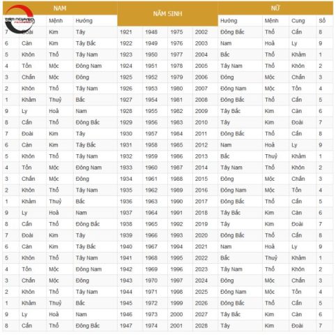 Xem Tử Vi Vợ Chồng Theo Ngày Sinh: Độ Hợp – Khắc & Cách Hóa Giải Chuẩn Nhất 2025