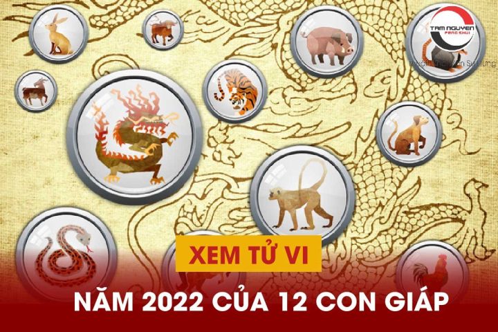 Xem Tử Vi 2022: Dự Báo Chi Tiết Vận Mệnh 12 Con Giáp