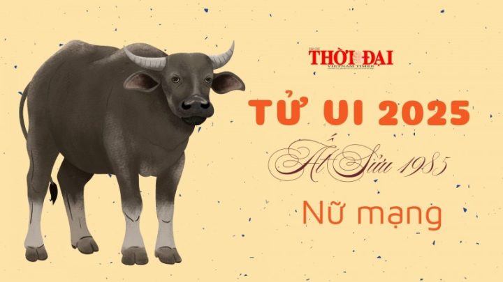 Tử Vi Ất Sửu Hôm Nay – Dự Đoán Vận Trình Chi Tiết Nhất