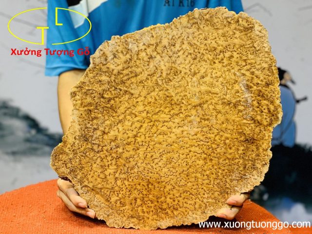Diện Phật Nu Ngọc Am Diện Phật Nu Ngọc Am