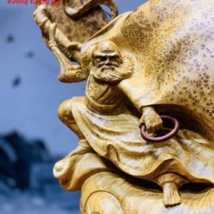 Đạt Ma Múa Võ Nu Ngọc Am