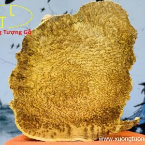 Diện Phật Nu Ngọc Am