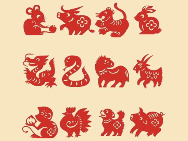 Tử vi tuổi Tý 2023