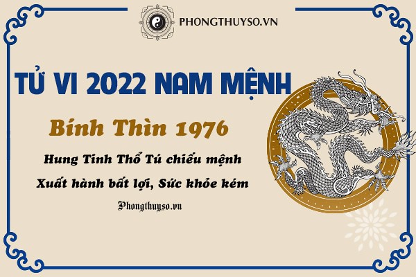 Tử vi tuổi Bính Thìn năm 2022 nam mạng [1976] – Luận giải chi tiết A đến Z