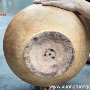 Chum Nu Ngọc Am