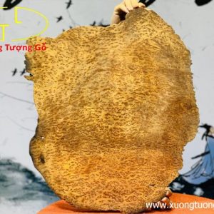Diện Phật Nu Ngọc Am Diện Phật Nu Ngọc Am