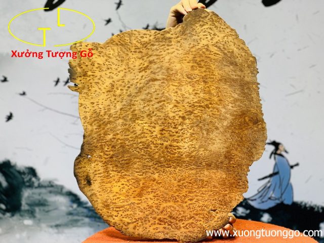 Diện Phật Nu Ngọc Am Diện Phật Nu Ngọc Am