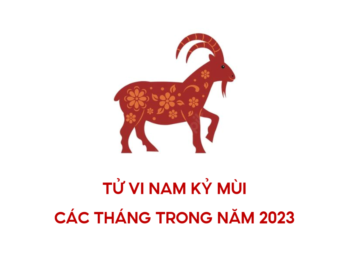 Tử vi tuổi Kỷ Mùi năm 2023 nam mạng: Dự đoán vận hạn & cách hóa giải chuẩn phong thủy