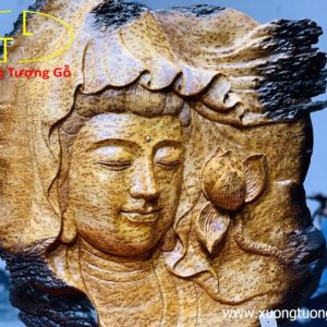 Diện Phật Nu Ngọc Am Diện Phật Nu Ngọc Am
