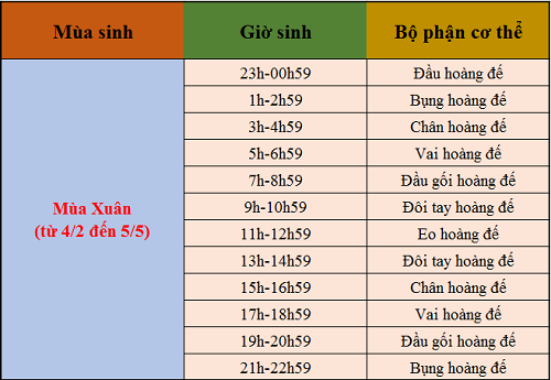 Xem Tử Vi Ngày Giờ Sinh: Giải Mã Vận Mệnh Cuộc Đời Chính Xác Nhất