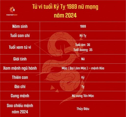 tử vi tuổi Tỵ 2024 nữ mạng